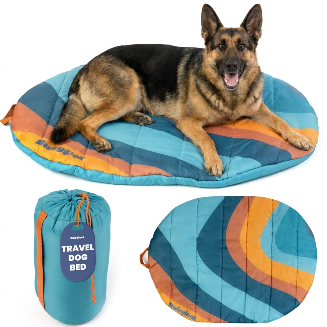 Foldable Travel Dog Bed – Packable, Waterproof & Ripstop Nylon | Rubyloo