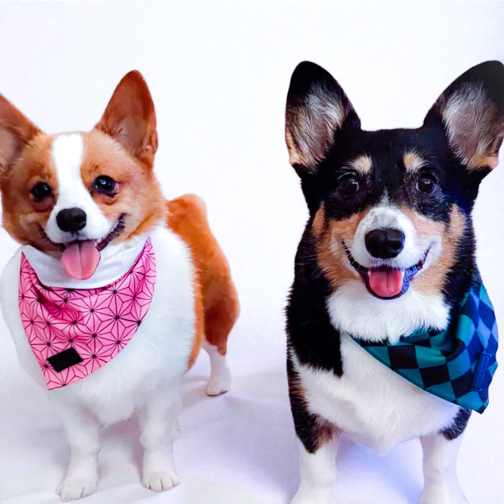 Asanoha Cooling Bandana – Bandanas | Doggo Dream Shop