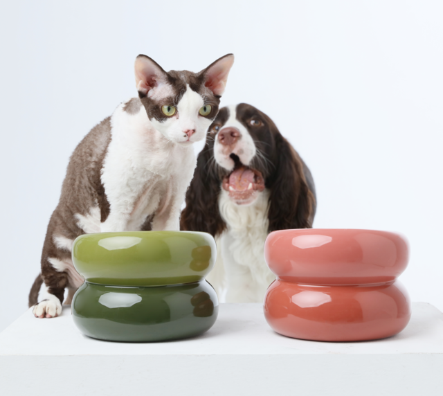 Soufflé Ceramic Dog Bowl – Rose Pink