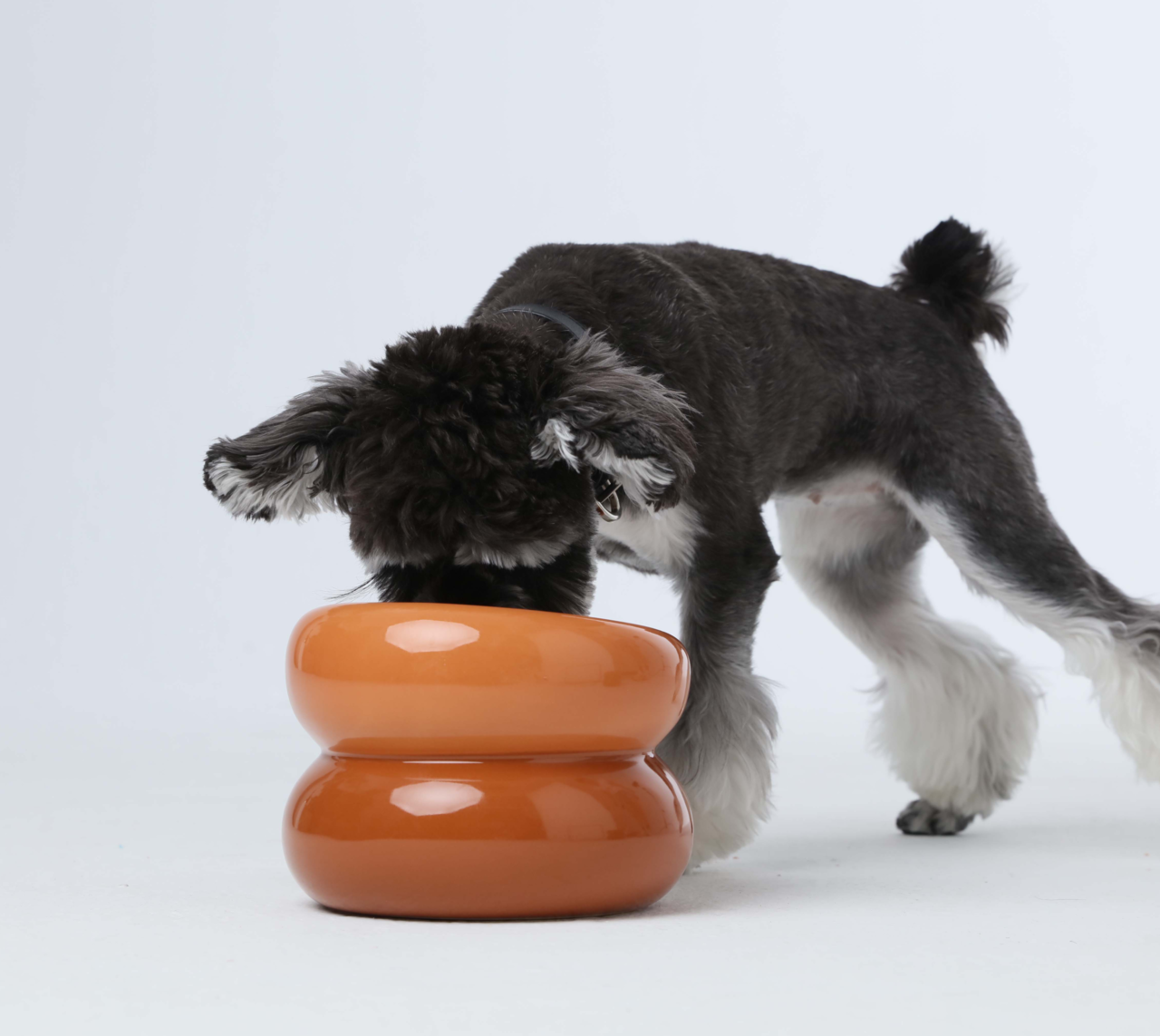 Soufflé Ceramic Dog Bowl – Amber Orange