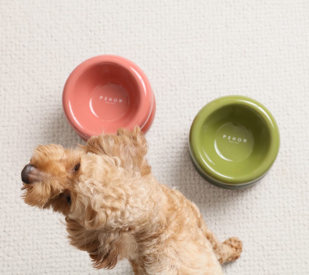 Soufflé Ceramic Dog Bowl – Rose Pink