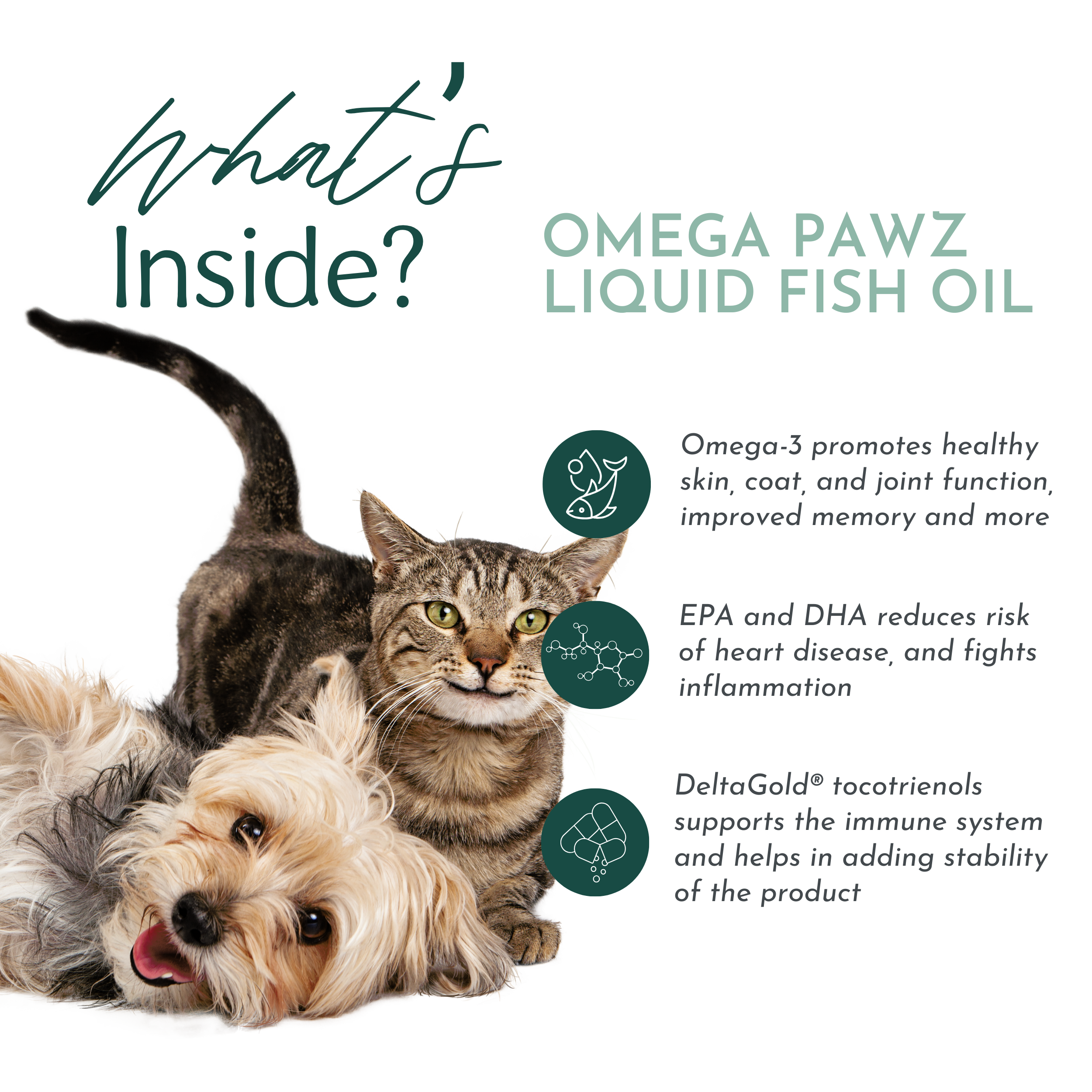 Omega Pawz Liquid Omega-3 Oil for Dogs & Cats | Dr. Ruth Roberts