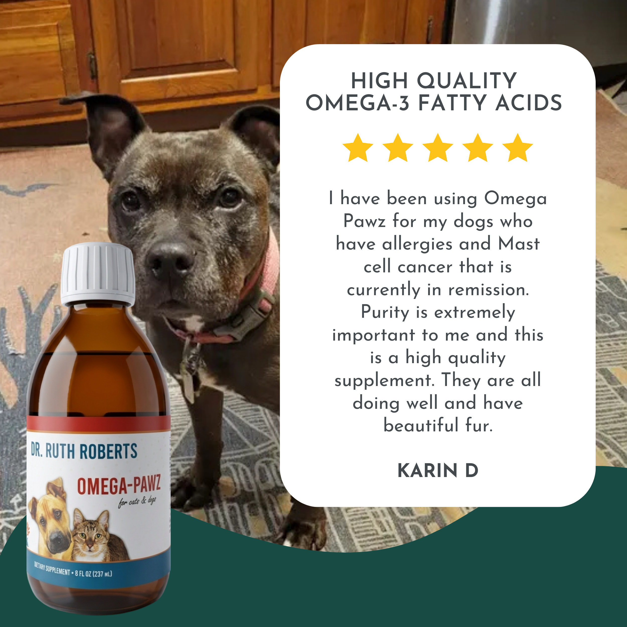 Omega Pawz Liquid Omega-3 Oil for Dogs & Cats | Dr. Ruth Roberts