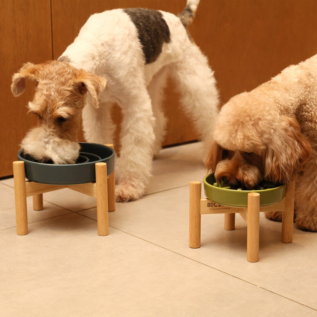 Spark Slow Feeder Dog Bowl – Ceramic, Non-Slip, Optional Wood Stand