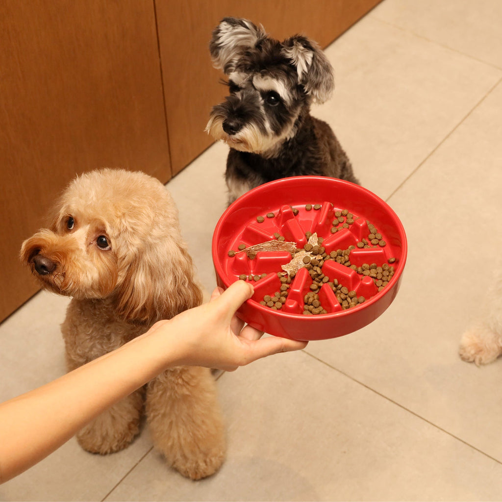 Spark Slow Feeder Dog Bowl – Ceramic, Non-Slip, Optional Wood Stand