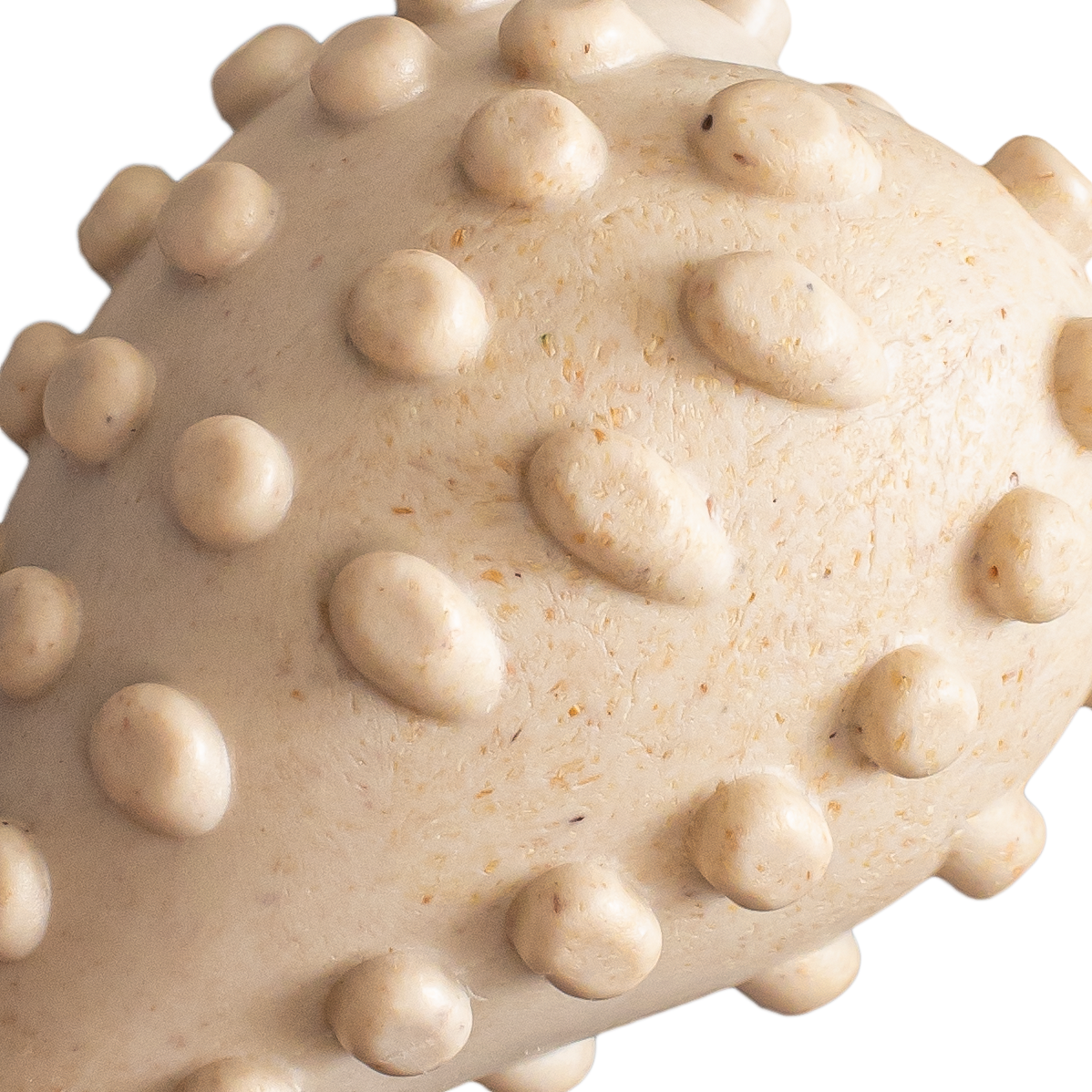 BetterBone HARD Dog Chew Toy – Natural, Eco?Friendly & Ultra?Durable – Dog Toys | Doggo Dream Shop