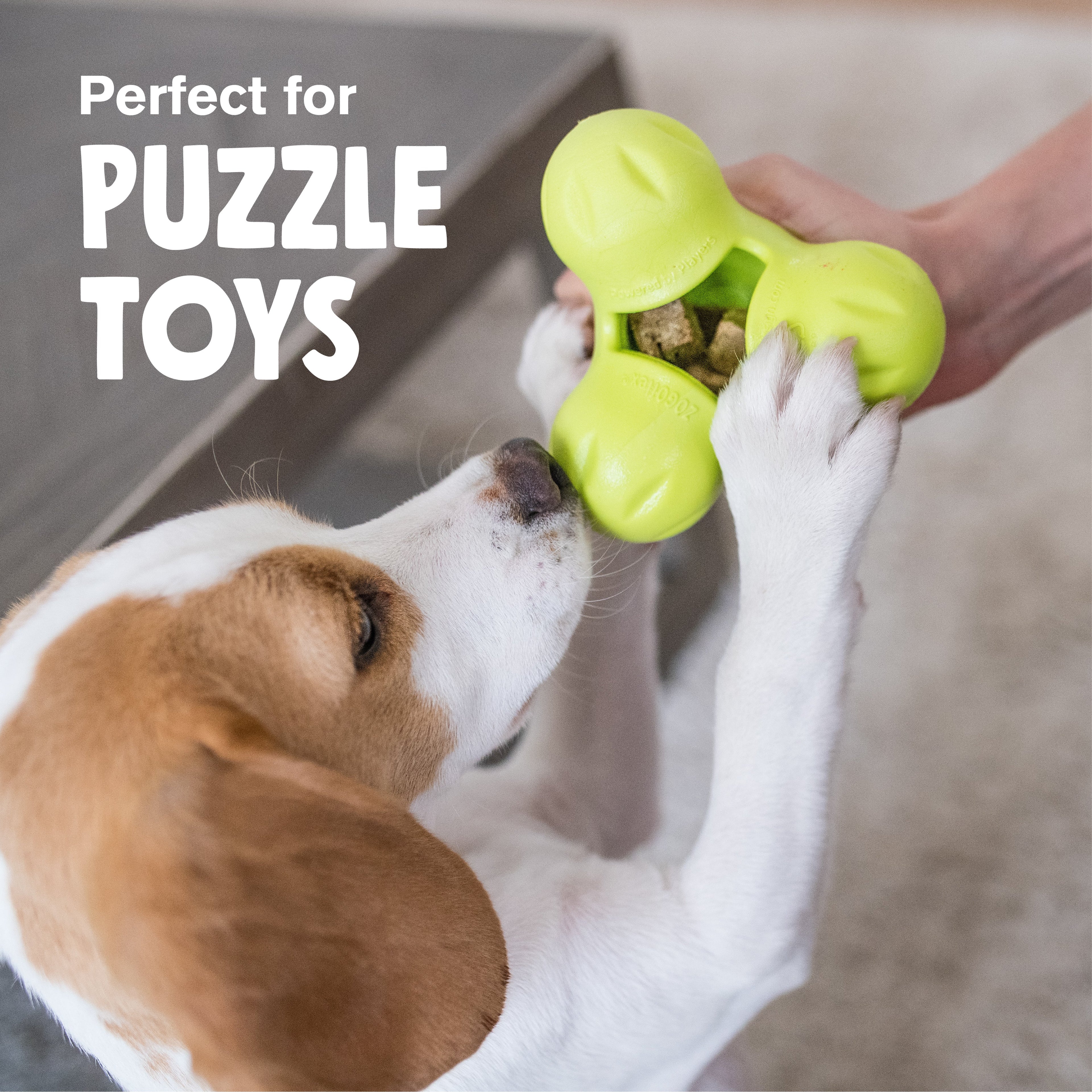 West Paw Bumi Tug & Fetch Dog Toy