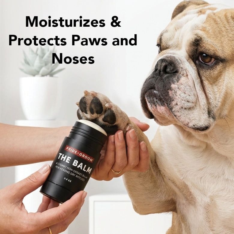 THE BALM – Nose & Paw Balm for Dogs by Pride+Groom