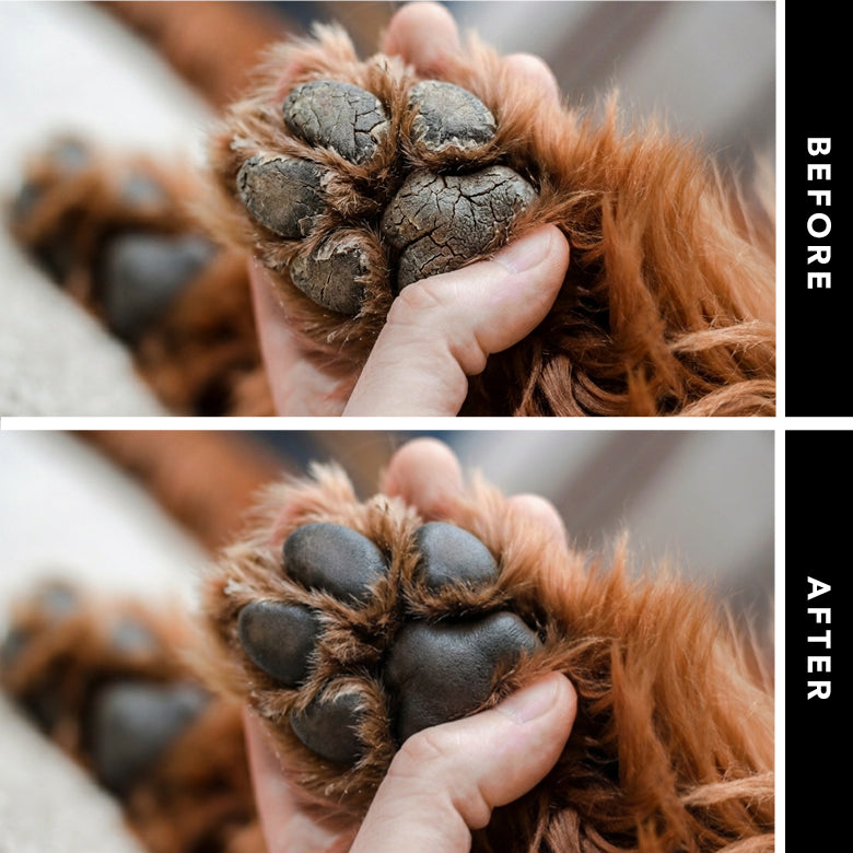 THE BALM – Nose & Paw Balm for Dogs by Pride+Groom