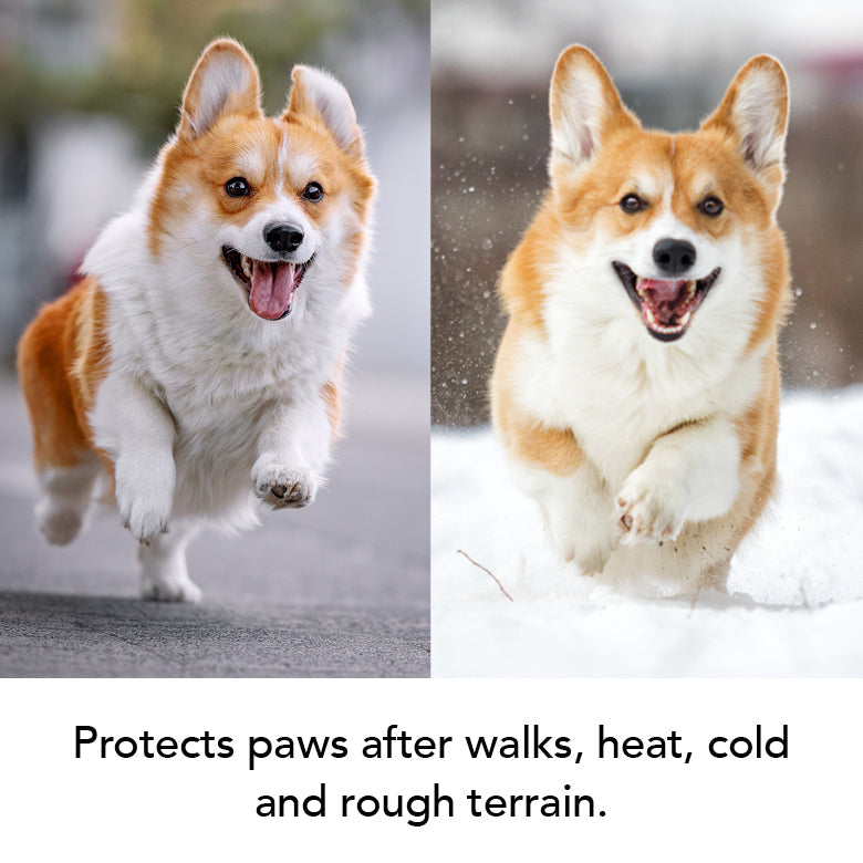 THE BALM – Nose & Paw Balm for Dogs by Pride+Groom