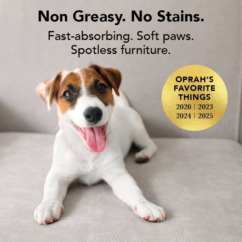 THE BALM – Nose & Paw Balm for Dogs by Pride+Groom