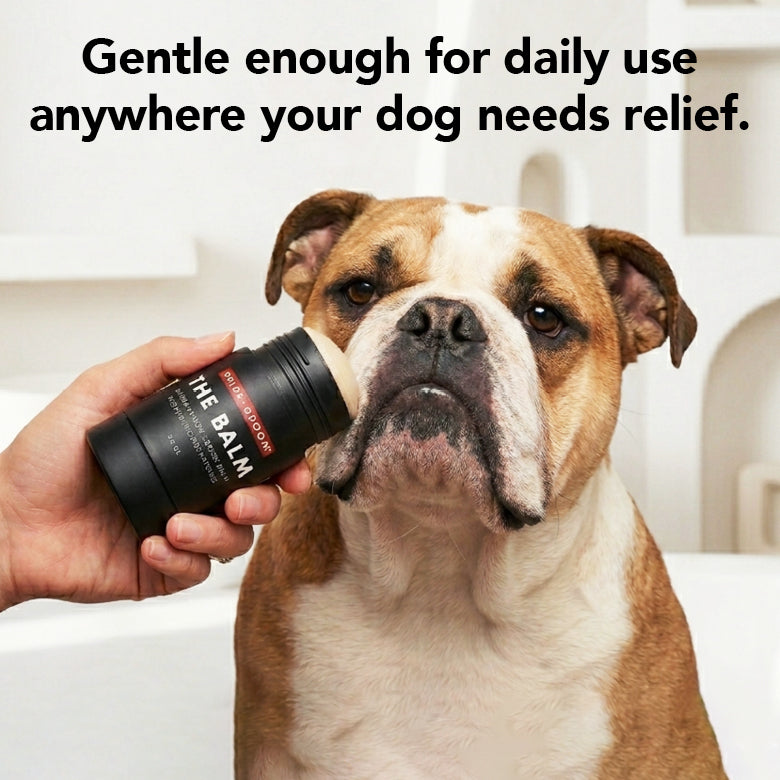 THE BALM – Nose & Paw Balm for Dogs by Pride+Groom