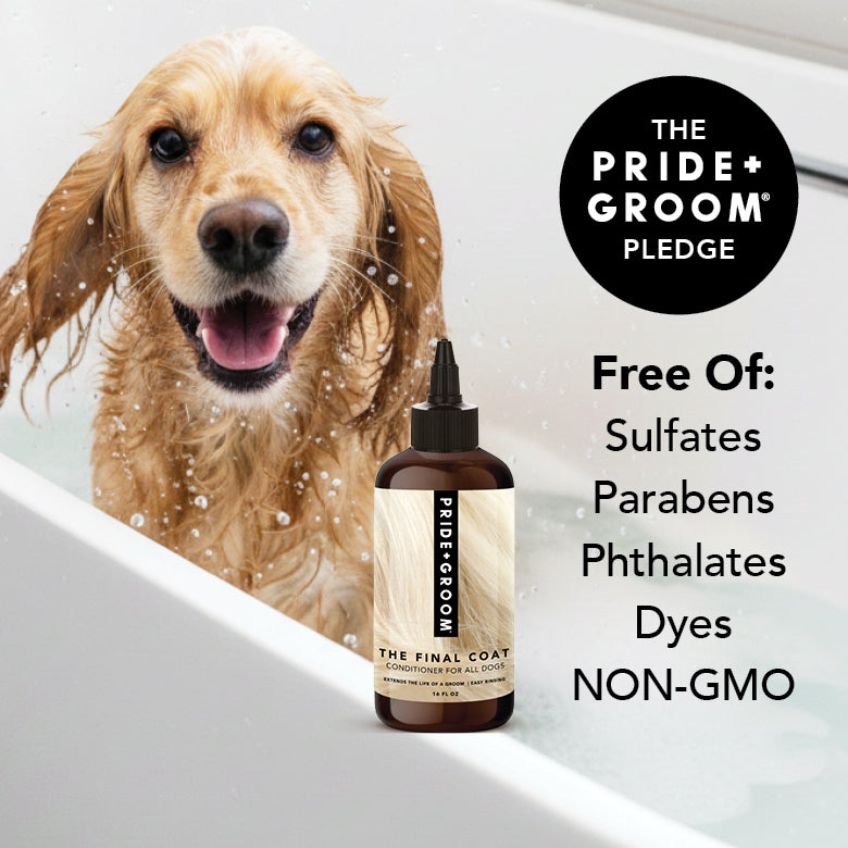 THE FINAL COAT Dog Conditioner – Pride+Groom