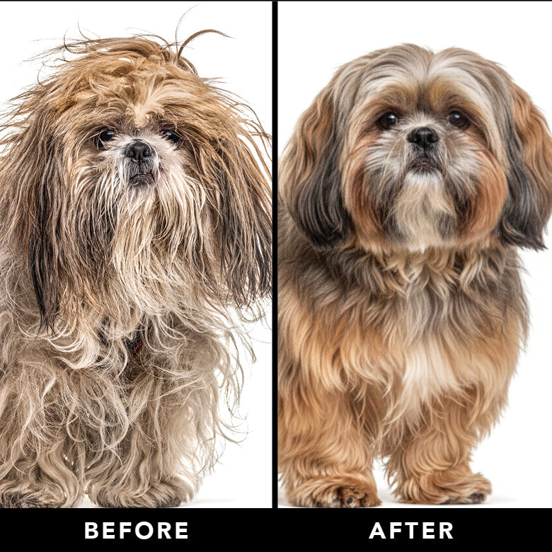 THE FINAL COAT Dog Conditioner – Pride+Groom