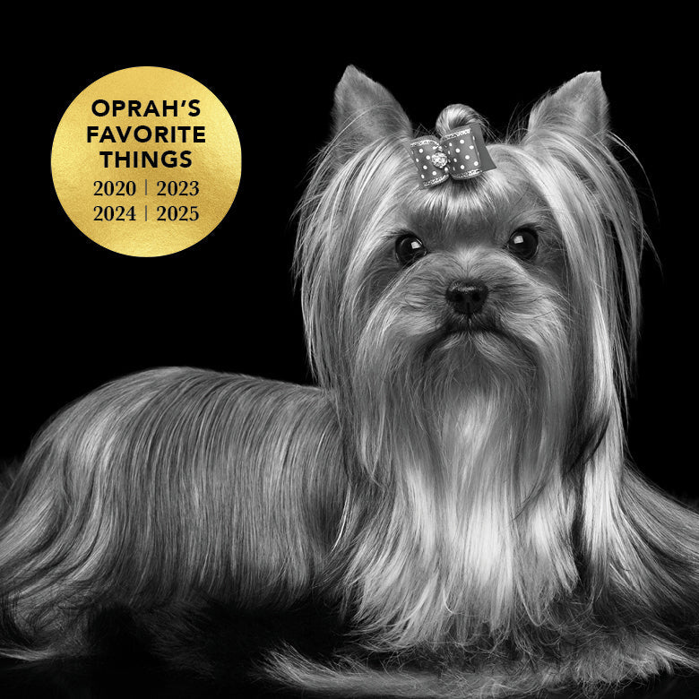 THE LEAVE IN – Leave-In Conditioner for Dogs by Pride+Groom