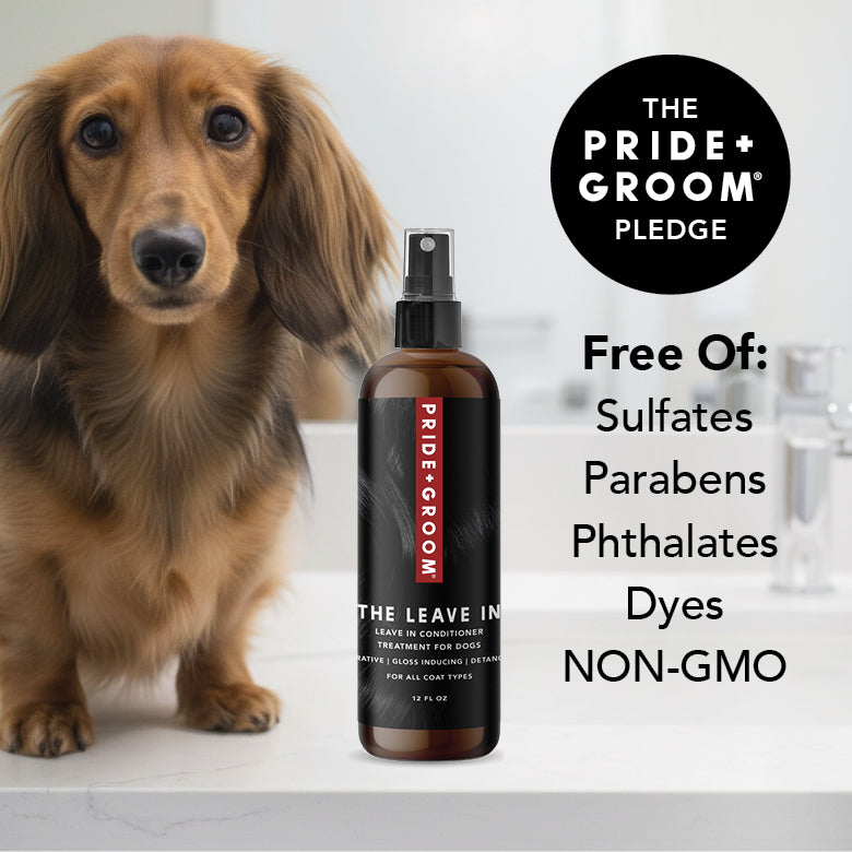 THE LEAVE IN – Leave-In Conditioner for Dogs by Pride+Groom