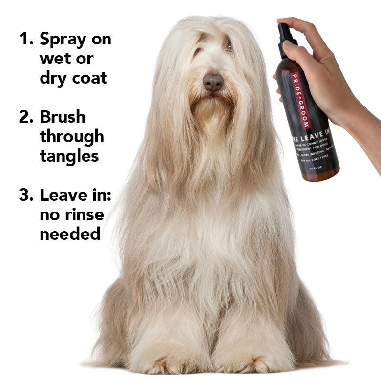 THE LEAVE IN – Leave-In Conditioner for Dogs by Pride+Groom