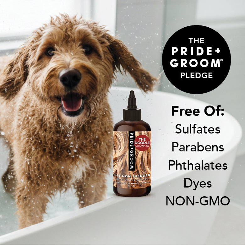 THE NON SHEDDER Dog Shampoo – Pride+Groom