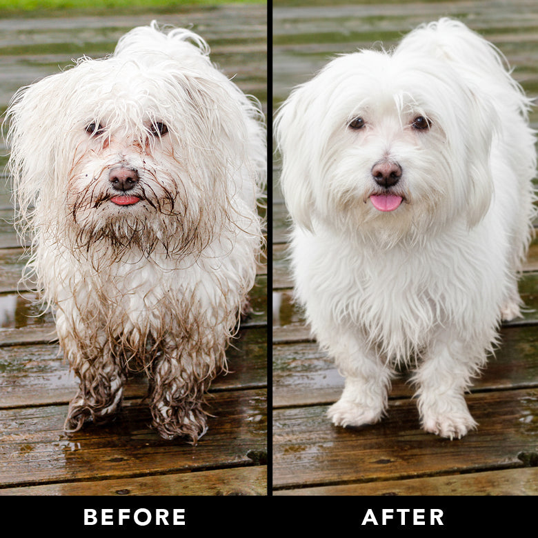 THE NON SHEDDER Dog Shampoo – Pride+Groom