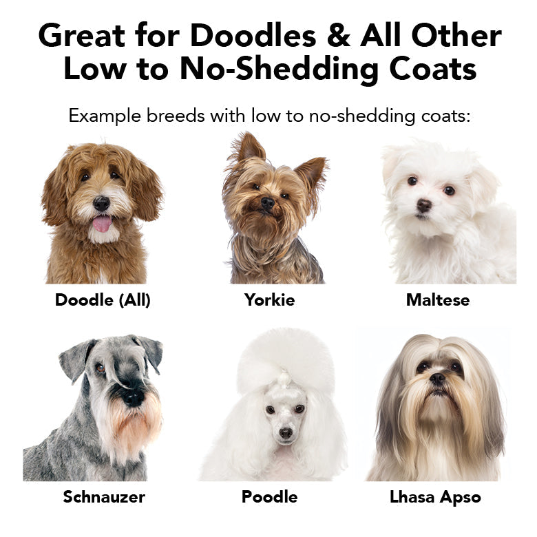 THE NON SHEDDER Dog Shampoo – Pride+Groom