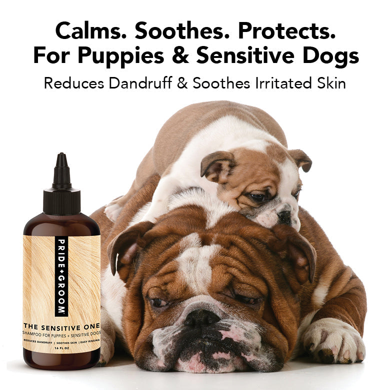 DOGDAYS Sensitive Skin Dog Shampoo – Pride+Groom