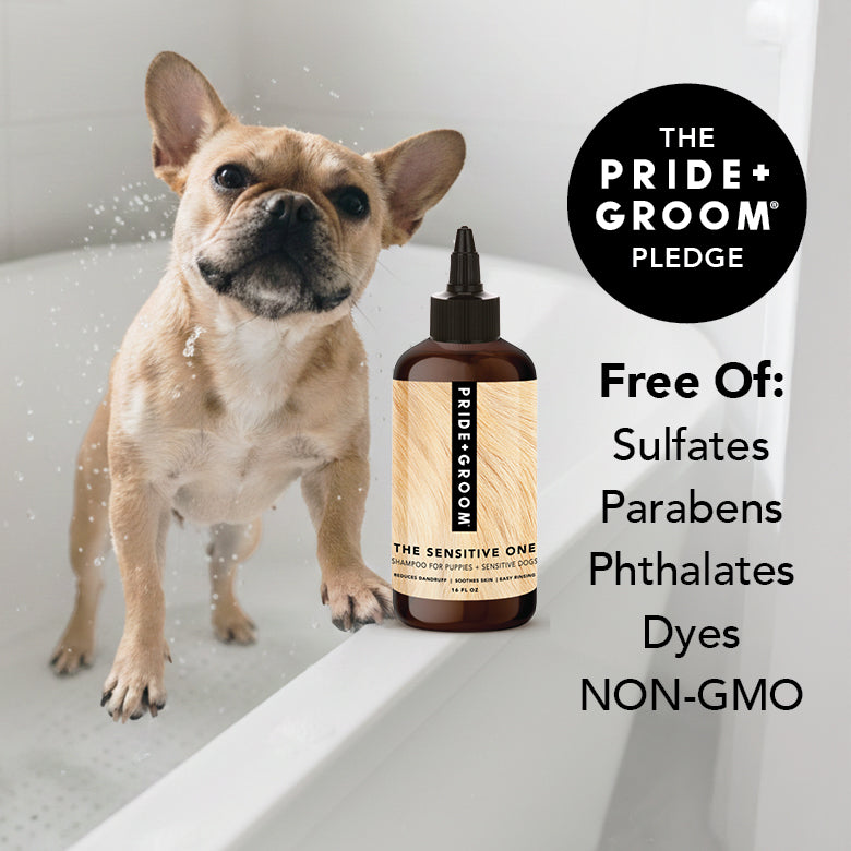 DOGDAYS Sensitive Skin Dog Shampoo – Pride+Groom