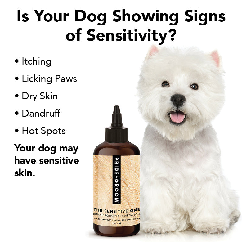 DOGDAYS Sensitive Skin Dog Shampoo – Pride+Groom