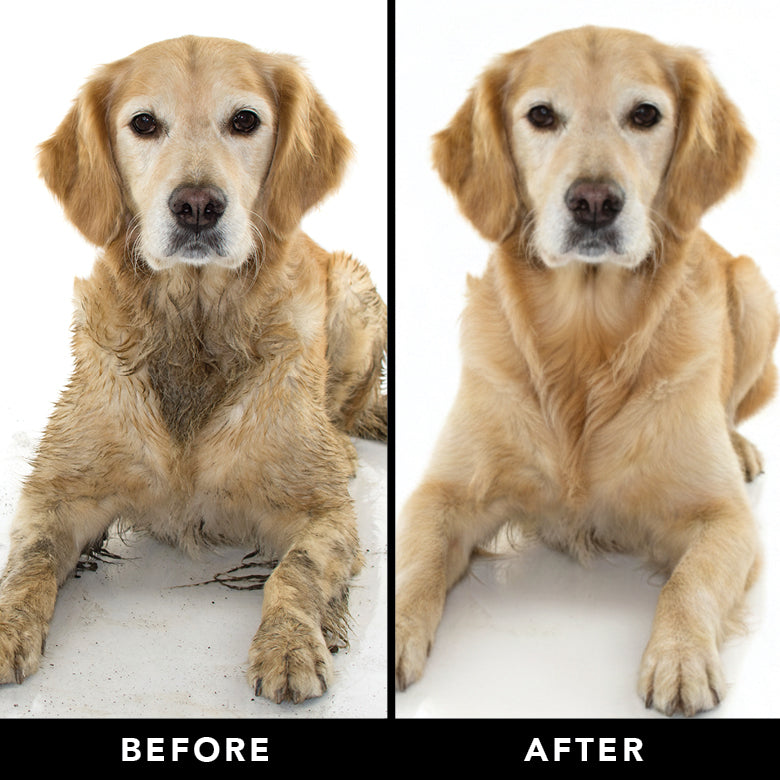 DOGDAYS Sensitive Skin Dog Shampoo – Pride+Groom