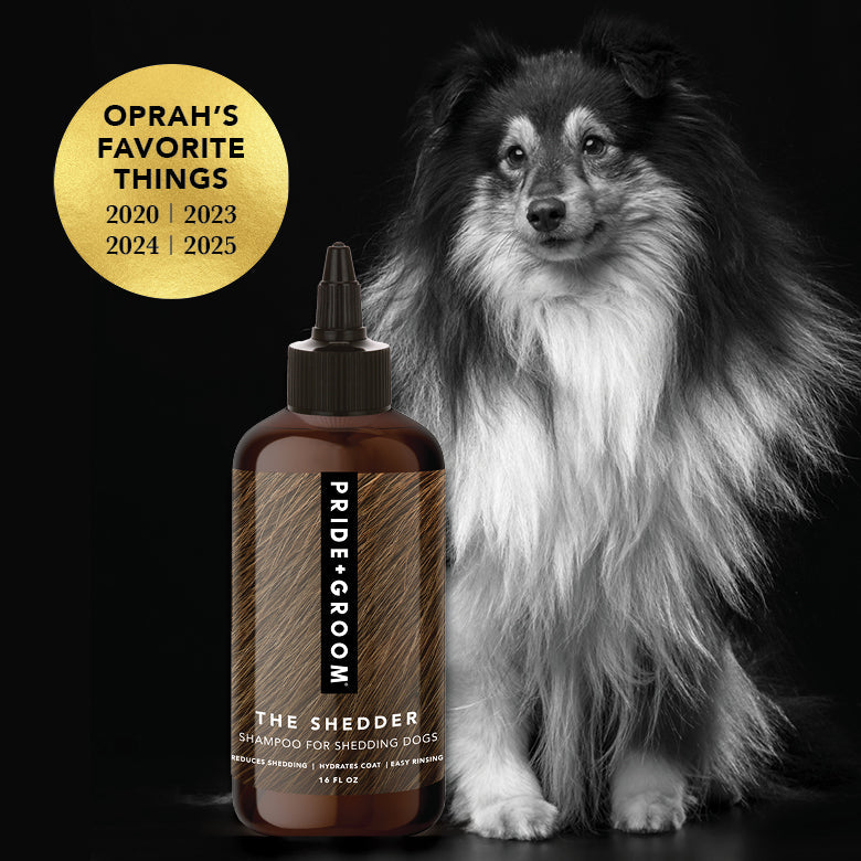 THE SHEDDER Dog Shampoo – Pride+Groom