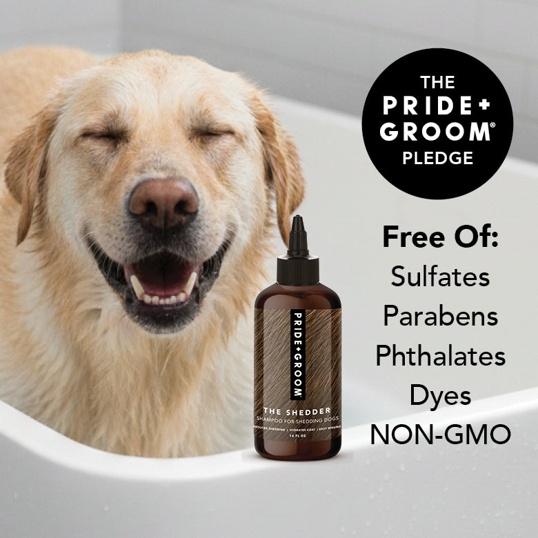 THE SHEDDER Dog Shampoo – Pride+Groom