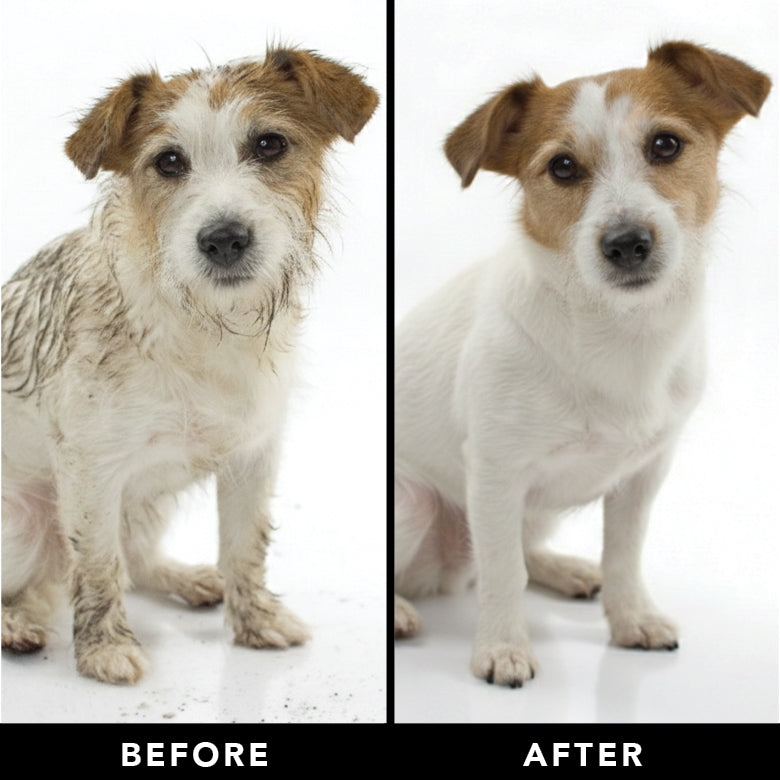 THE SHEDDER Dog Shampoo – Pride+Groom