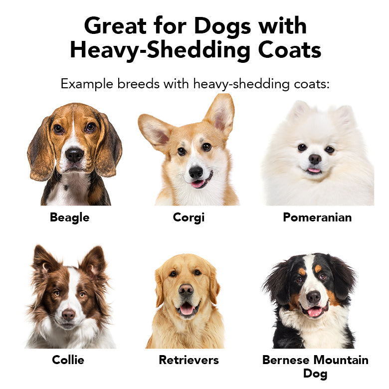 THE SHEDDER Dog Shampoo – Pride+Groom