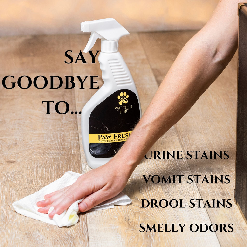 Paw Fresh Enzyme Spot Cleaner & Deodorizer | Wasatch Pup