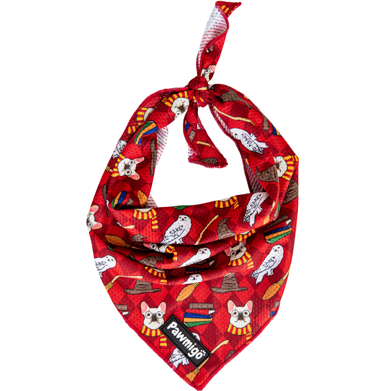 Pawgwarts Cooling Bandana – Seasonal Bandana | Doggo Dream Shop
