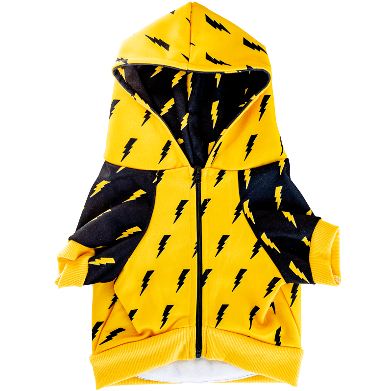 Pawgwarts Hoodie – Hoodie | Doggo Dream Shop