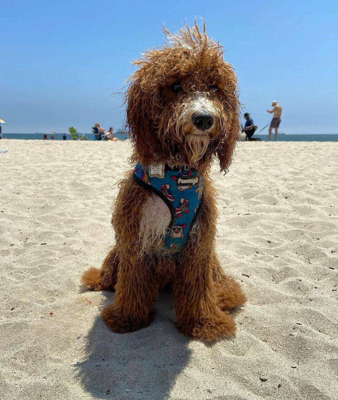 90s Baby Reversible Harness – Reversible Harness | Doggo Dream Shop