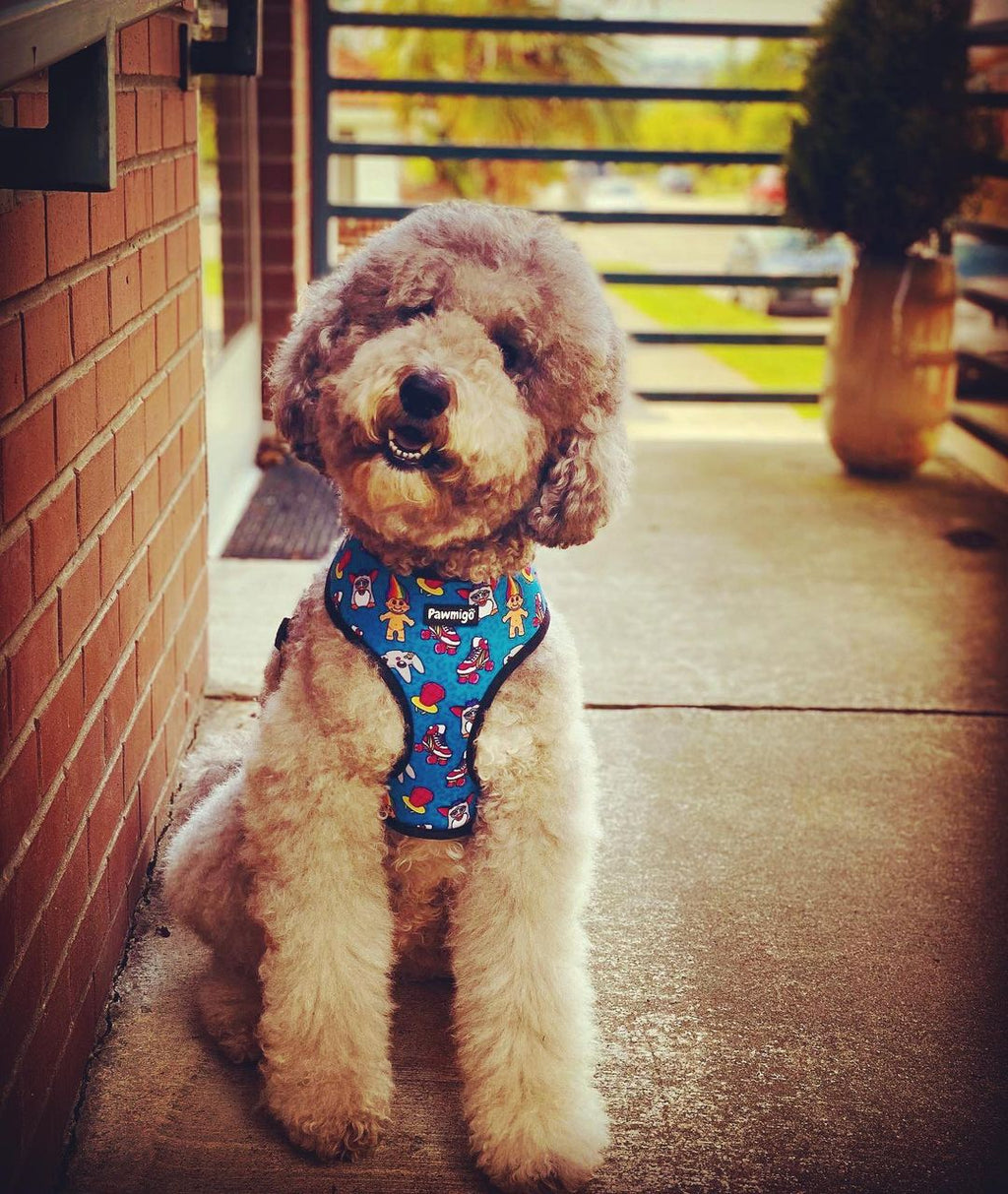 90s Baby Reversible Harness – Reversible Harness | Doggo Dream Shop