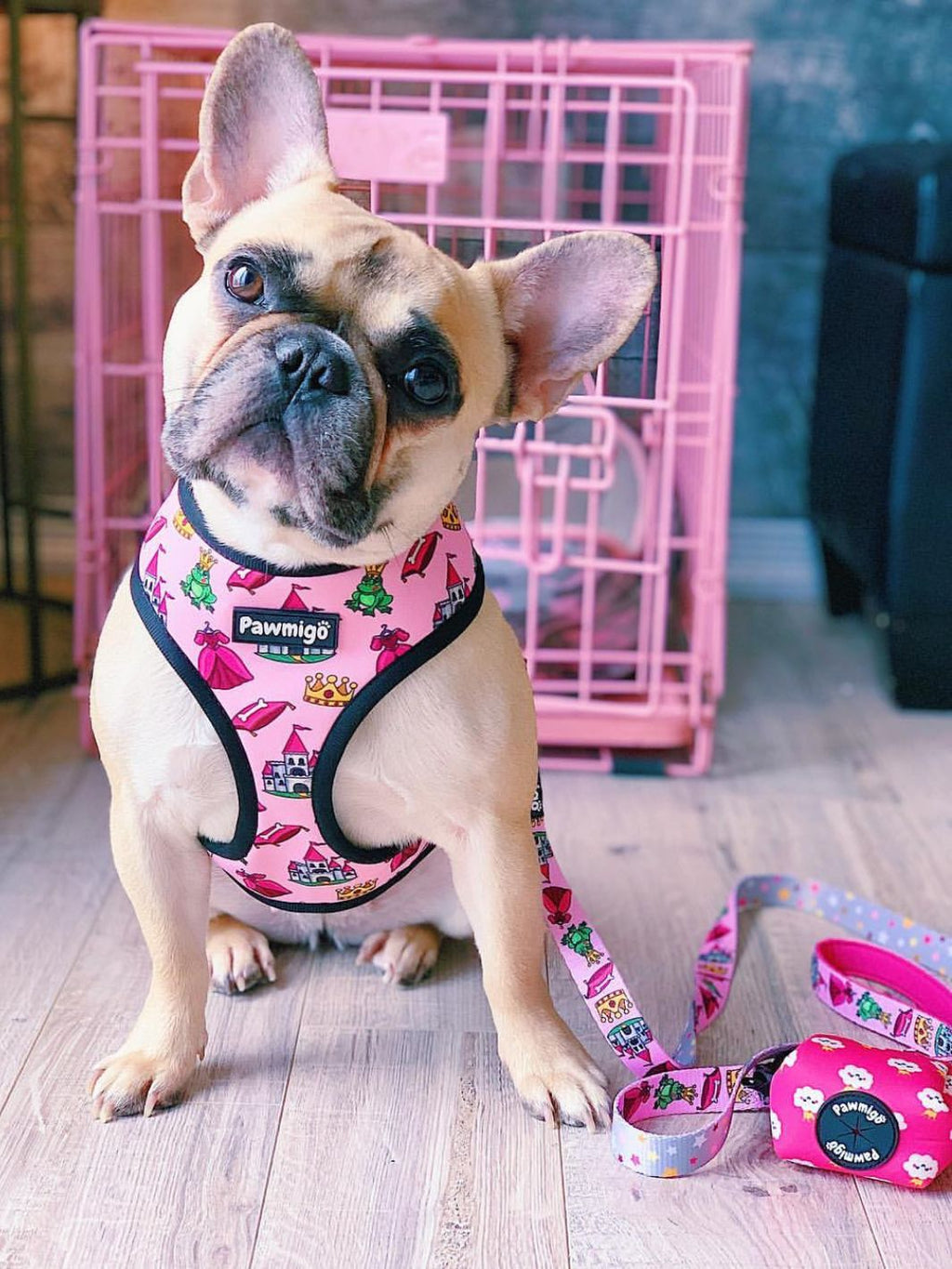 Fairytail Leash Kit – Leash Kit | Doggo Dream Shop