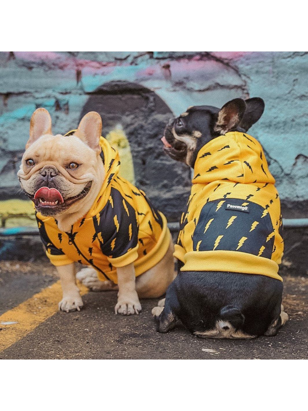 Pawgwarts Hoodie – Hoodie | Doggo Dream Shop