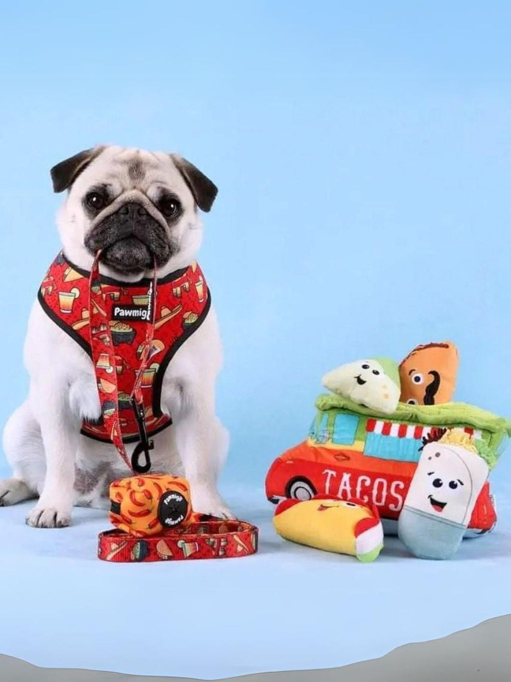 Taco Tuesday Leash Kit – Leash Kit | Doggo Dream Shop