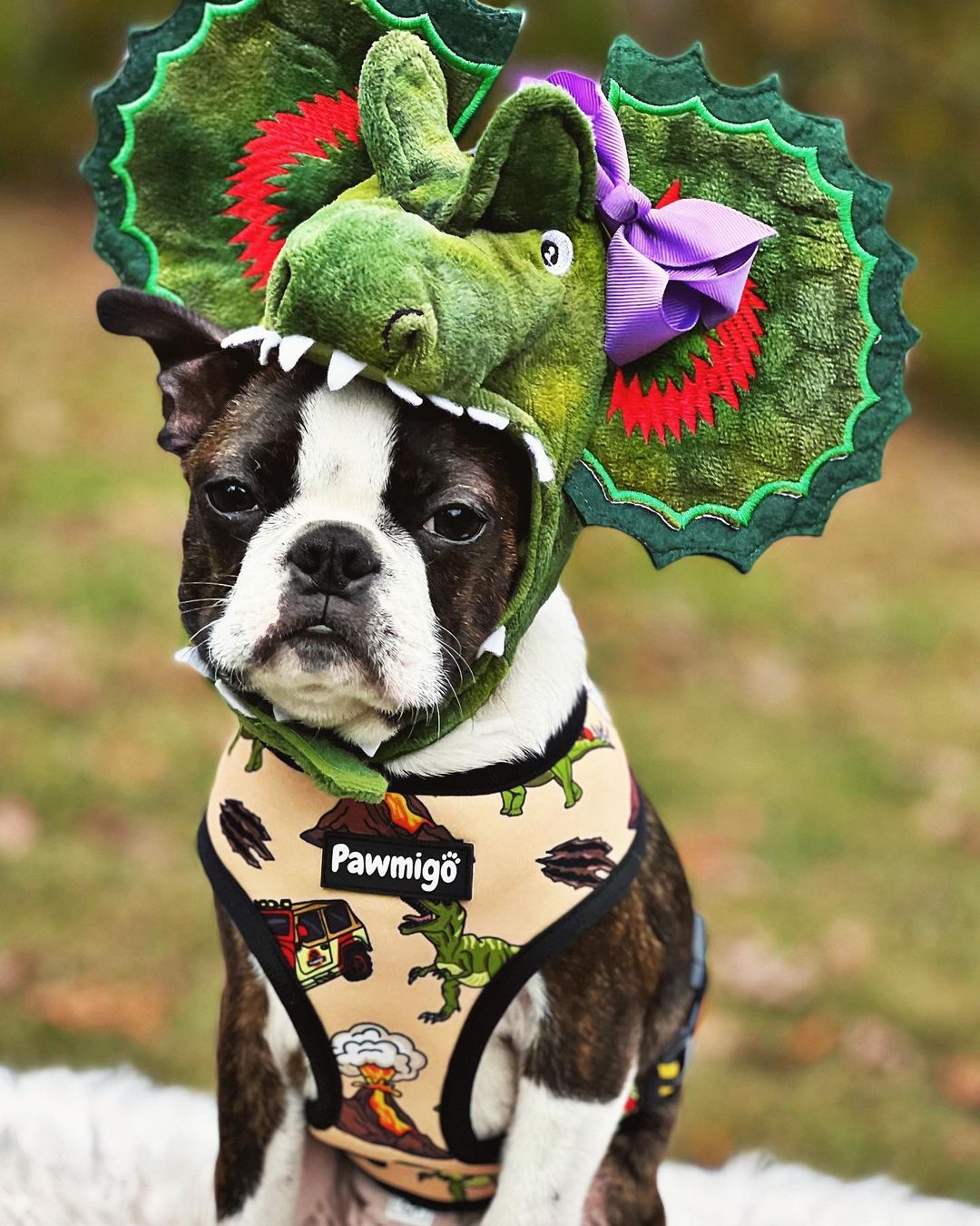 Jurassic Bark Reversible Harness – Reversible Harness | Doggo Dream Shop