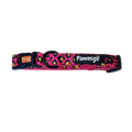 90s Baby Classic Collar – Collar | Doggo Dream Shop