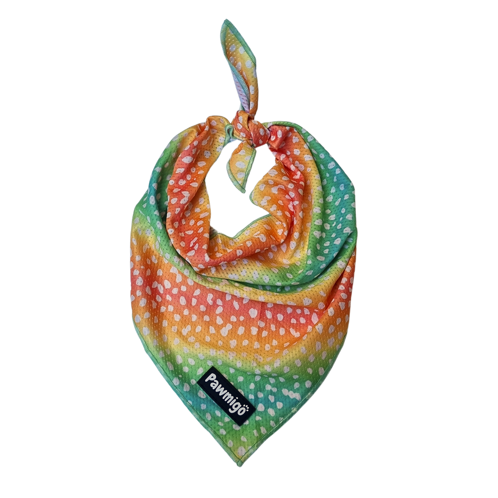 Chasing Rainbows Cooling Bandana – Seasonal Bandana | Doggo Dream Shop