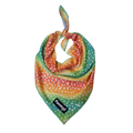 Chasing Rainbows Cooling Bandana – Seasonal Bandana | Doggo Dream Shop