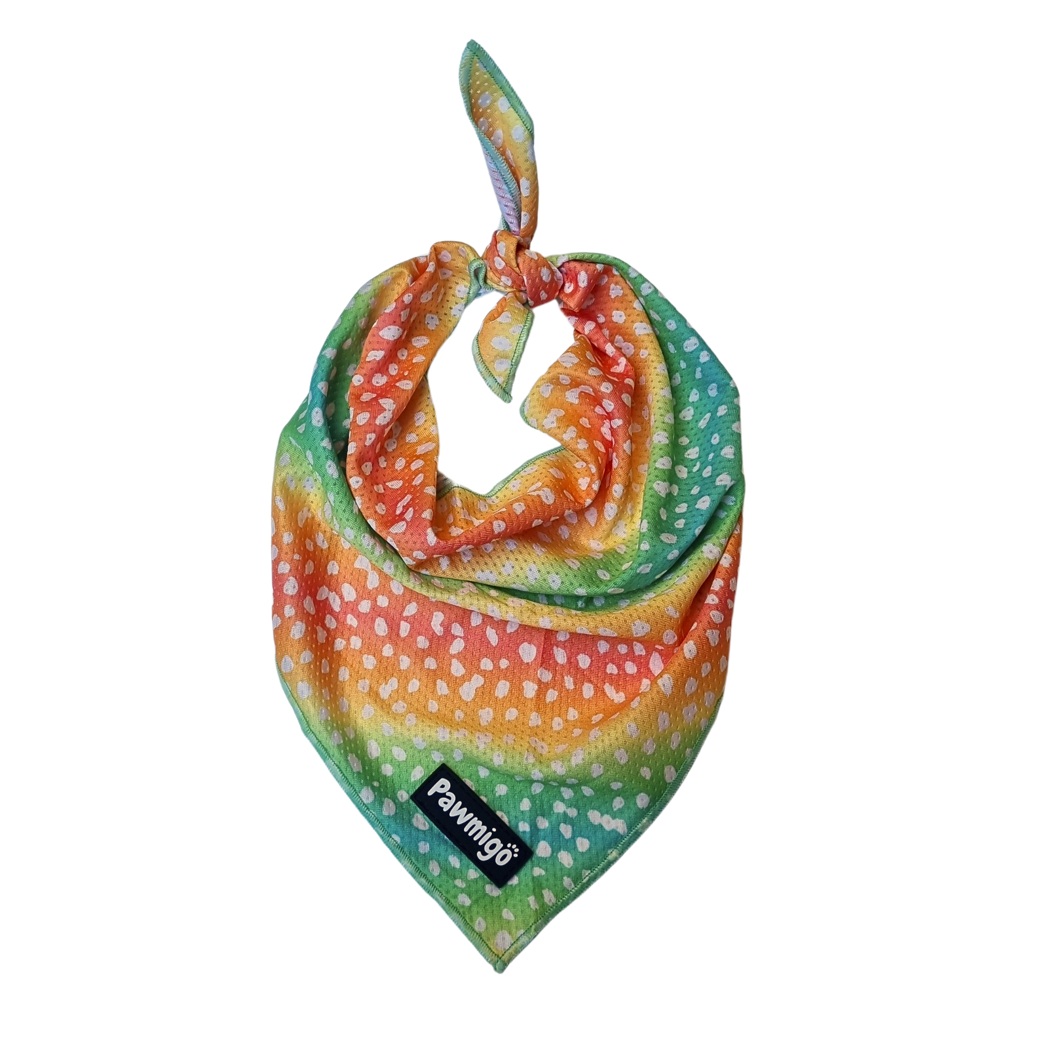 Chasing Rainbows Cooling Bandana – Seasonal Bandana | Doggo Dream Shop