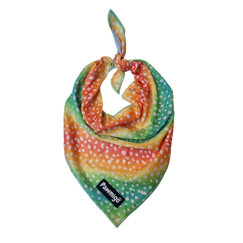 Chasing Rainbows Cooling Bandana – Seasonal Bandana | Doggo Dream Shop
