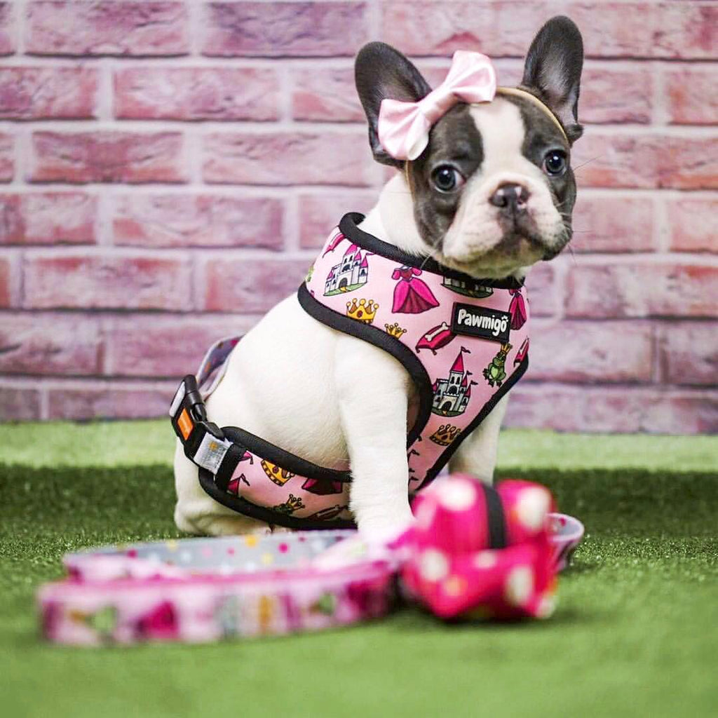 Fairytail Leash Kit – Leash Kit | Doggo Dream Shop