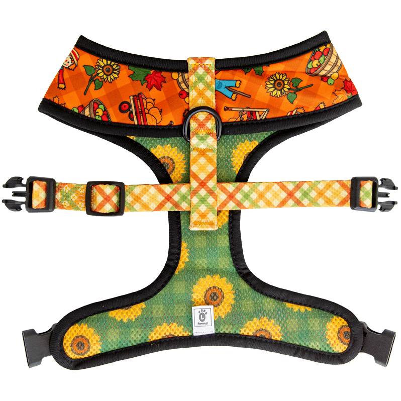 Pupkin Patch Reversible Harness – Reversible Harness | Doggo Dream Shop