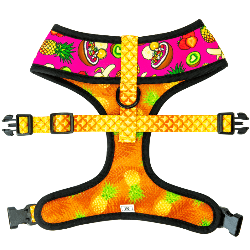 Snack Shack Reversible Harness – Reversible Harness | Doggo Dream Shop