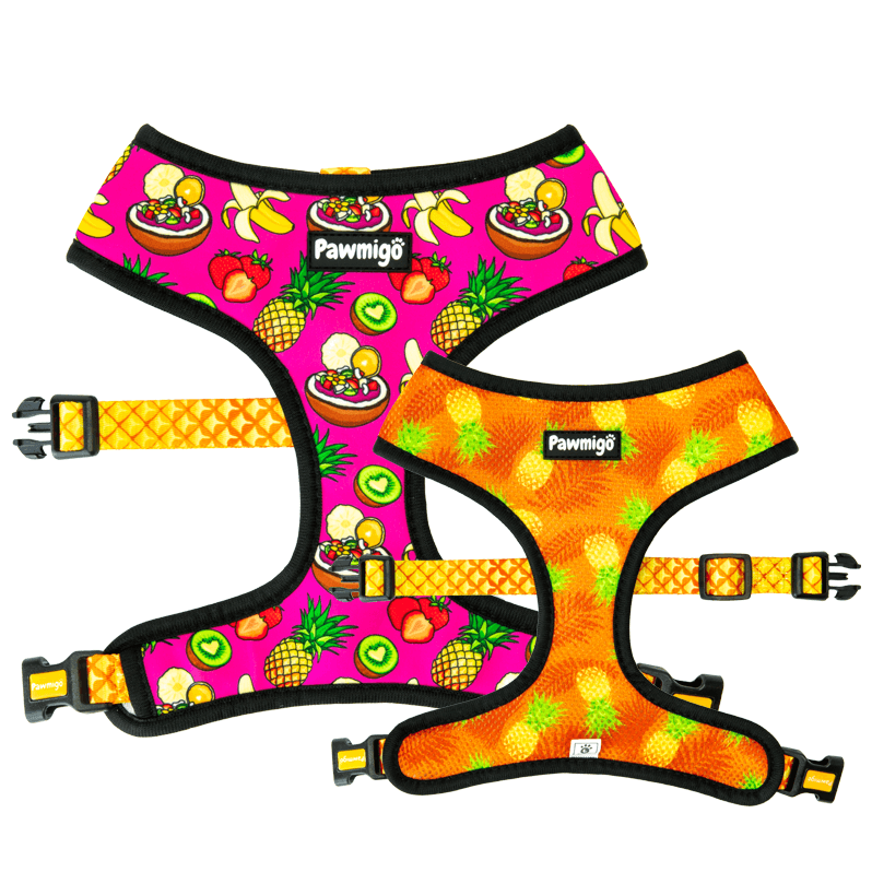 Snack Shack Reversible Harness – Reversible Harness | Doggo Dream Shop